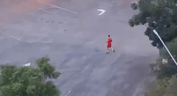 Bombeiro mata cachorro após ataque em estacionamento do Serra Dourada 